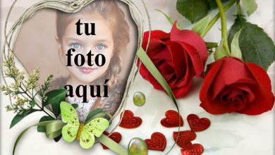 Hermosas mariposas verdes de amor foto marcos 390x220 - Hermosas mariposas verdes de amor foto marcos