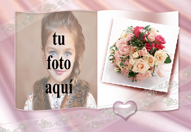 La portada de alegría y flores. foto marcos - La portada de alegría y flores. foto marcos