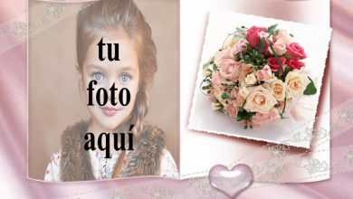 La portada de alegría y flores. foto marcos 390x220 - La portada de alegría y flores. foto marcos