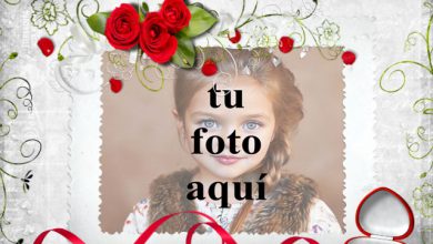 Libro de amor de portada blanca foto marcos 390x220 - Libro de amor de portada blanca foto marcos