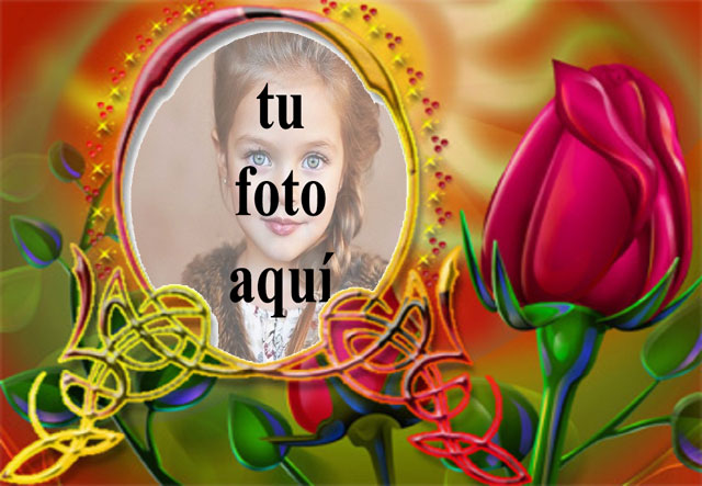 Marco Colorido Con Hermosa Rosa Roja Foto Marcos - Marco Colorido Con Hermosa Rosa Roja Foto Marcos