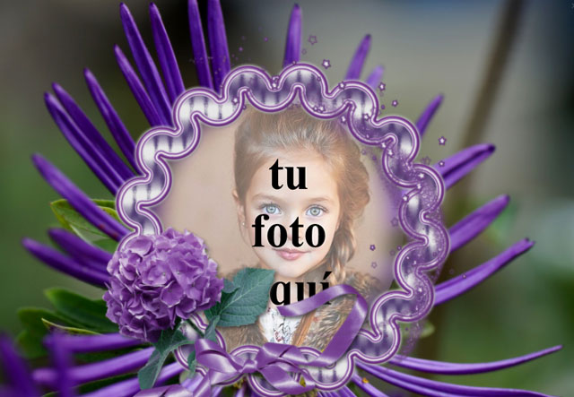 Marco De Rosas Violetas Con Flor Foto Marcos - Marco De Rosas Violetas Con Flor Foto Marcos