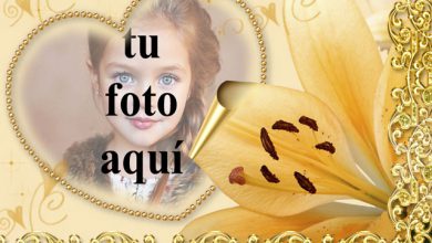 Marco de corazón decorado con bolas de oro foto marcos 390x220 - Marco de corazón decorado con bolas de oro foto marcos