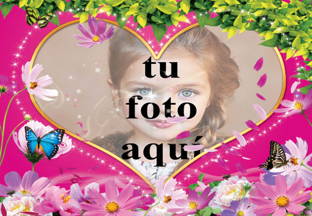 Mariposas mensajeras de amor foto marcos - Mariposas mensajeras de amor foto marcos