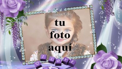Me derrito en tu amor foto marcos 390x220 - Me derrito en tu amor foto marcos