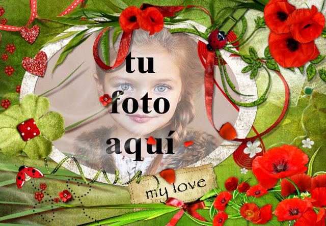 Parque tranquilo amor foto marcos - Parque tranquilo amor foto marcos