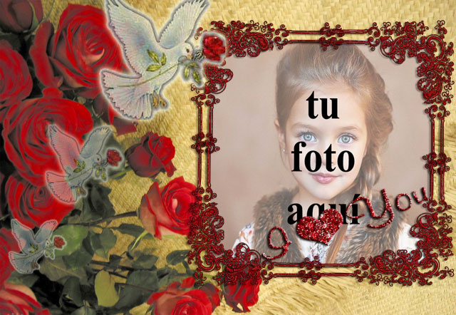 Pájaro de amor blanco con mi corazón foto marcos - Pájaro de amor blanco con mi corazón foto marcos