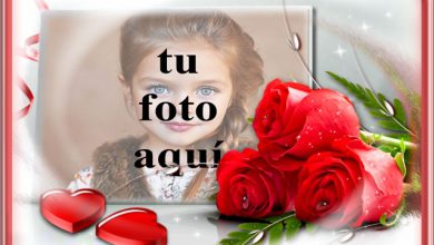 Símbolo de flores rojas del amor foto marcos 390x220 - Símbolo de flores rojas del amor foto marcos
