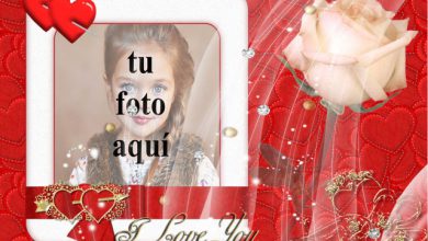 Tarjeta de amor real foto marcos 390x220 - Tarjeta de amor real foto marcos