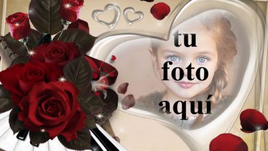 Tu amor es como la musica foto marcos 390x220 - Tu amor es como la musica foto marcos