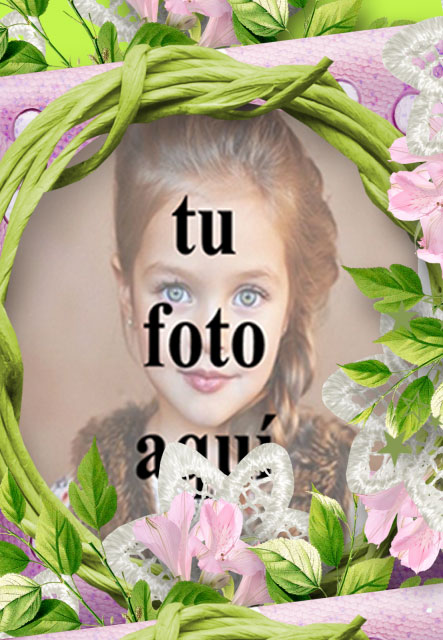 Un Marco De Una Canasta De Rosa Verde Y Rosa Foto Marcos - Un Marco De Una Canasta De Rosa Verde Y Rosa Foto Marcos