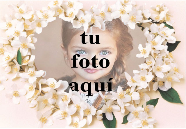 Un collar de flores blancas foto marcos - Un collar de flores blancas foto marcos