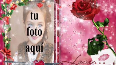 Una rosa roja amor foto marcos 390x220 - Una rosa roja amor foto marcos