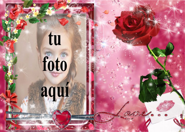 Una rosa roja amor foto marcos - Una rosa roja amor foto marcos