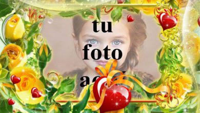 celebremos nuestro amor foto marcos 390x220 - celebremos nuestro amor foto marcos