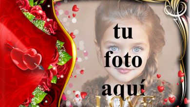 el amor es lo más hermoso para todos nosotros foto marcos 390x220 - el amor es lo más hermoso para todos nosotros foto marcos