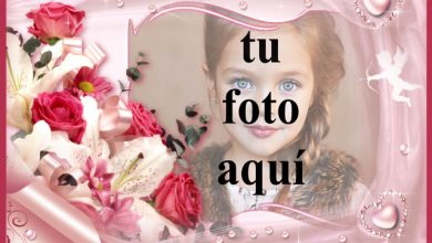 maravilloso y puro como las flores 390x220 - maravilloso y puro como las flores
