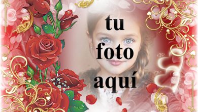 mi corazon felicidad y alegria foto marcos 390x220 - mi corazon felicidad y alegria foto marcos