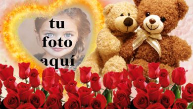 no puedo estar sin ti foto marcos 390x220 - no puedo estar sin ti foto marcos