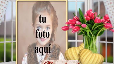 ramo de flores rojas en florero foto marcos 390x220 - ramo de flores rojas en florero foto marcos