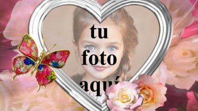 siempre necesito tu cercanía foto marcos 390x220 - siempre necesito tu cercanía foto marcos