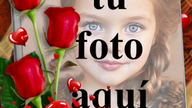 solo puedo amarte foto marcos 390x220 - solo puedo amarte foto marcos