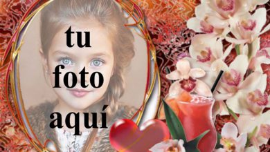 te necesito en mi vida foto marcos 390x220 - te necesito en mi vida foto marcos