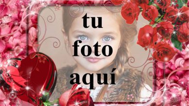 toma mi corazón toma mi vida foto marcos 390x220 - toma mi corazón toma mi vida foto marcos