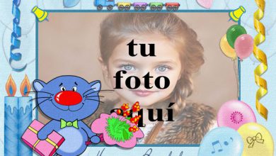Feliz Cumpleaños Con Lindo Gato Marcos para fotos 390x220 - Feliz Cumpleaños Con Lindo Gato Marcos para fotos