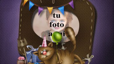 Fiesta De Cumpleaños Divertida Del Gato Marco Foto 390x220 - Fiesta De Cumpleaños Divertida Del Gato Marco Foto
