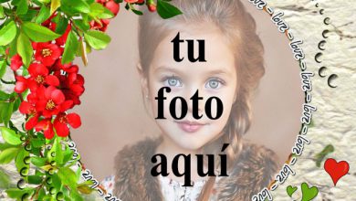Te amo con marco de fotos de rosas rojas 390x220 - Te amo con marco de fotos de rosas rojas