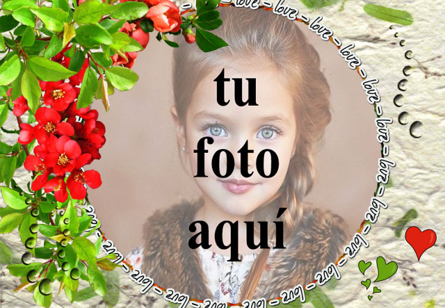 Te amo con marco de fotos de rosas rojas - Te amo con marco de fotos de rosas rojas
