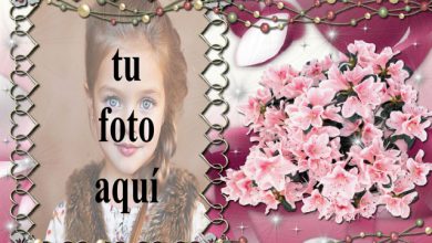 clasificado en marco de fotos morado decorado con flores 390x220 - clasificado en marco de fotos morado decorado con flores