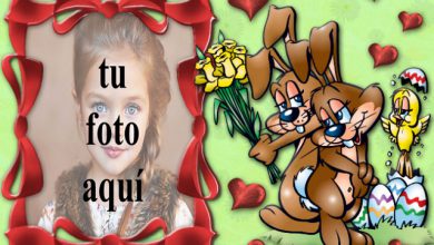 conejito enamorado marco de fotos 390x220 - conejito enamorado marco de fotos