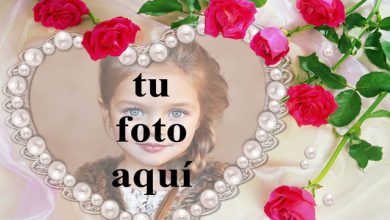 el marco de fotos romantico collar de perlas 390x220 - el marco de fotos romántico collar de perlas