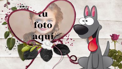 el marco romantico de la foto del perrito 390x220 - el marco romántico de la foto del perrito