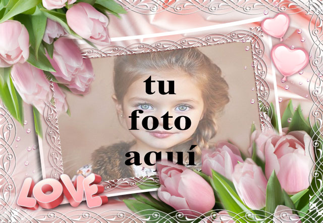 marco de fotos rosa decorado hermosas flores rosadas - marco de fotos rosa decorado hermosas flores rosadas