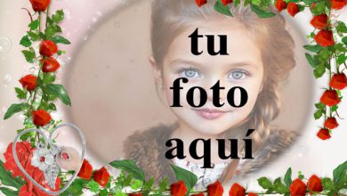 romantico marco de fotos de flores rojas decorado con amor 390x220 - romántico marco de fotos de flores rojas decorado con amor