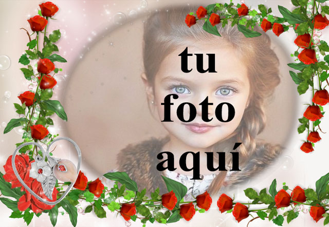 romantico marco de fotos de flores rojas decorado con amor - romántico marco de fotos de flores rojas decorado con amor