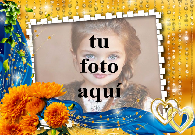 rosas naranjas con marco de fotos de fondo dorado - rosas naranjas con marco de fotos de fondo dorado