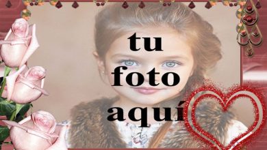rosas rosadas con marco de fotos de corazón rojo 390x220 - rosas rosadas con marco de fotos de corazón rojo