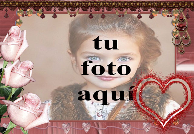 rosas rosadas con marco de fotos de corazón rojo - rosas rosadas con marco de fotos de corazón rojo