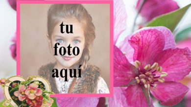 Marco de fotos de corazon rosa muy romantica 390x220 - Marco de fotos de corazón rosa muy romántica