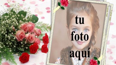 Marco de fotos de ramo de rosas rojas con marco romantico 390x220 - Marco de fotos de ramo de rosas rojas con marco romántico