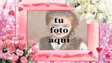 Marco de fotos de rosas rosadas y rosas blancas con fondo muy romantico 390x220 - Marco de fotos de rosas rosadas y rosas blancas con fondo muy romántico