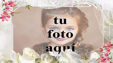 marco de fotos blanco con flor blanca romantica 390x220 - marco de fotos blanco con flor blanca romántica