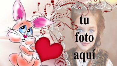 marco de fotos de conejito de amor con marco decorativo 390x220 - marco de fotos de conejito de amor con marco decorativo