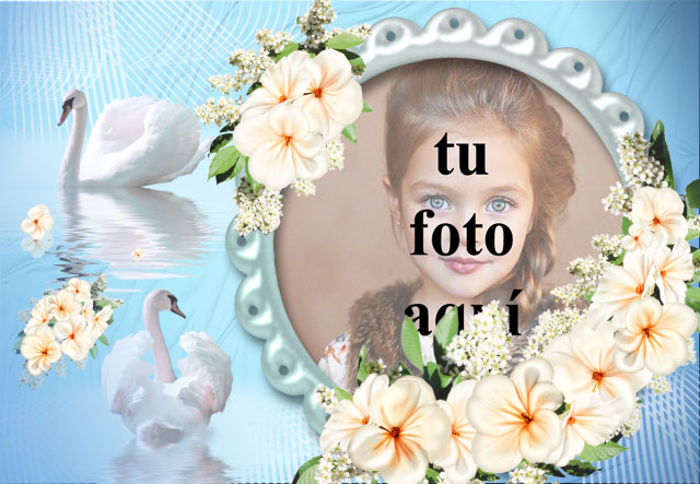 marco de fotos romantico cisne con rosas blancas - marco de fotos romántico cisne con rosas blancas