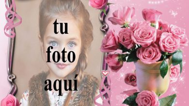 pequeno ramo de rosas rosadas marco de fotos romantico 390x220 - pequeño ramo de rosas rosadas marco de fotos romántico