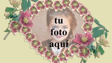 corazon romantico con marco de fotos de rosas rojas 390x220 - corazón romántico con marco de fotos de rosas rojas
